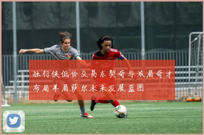 独行侠低价交易东契奇与浓眉奇才布局羊眉萨尔未来发展蓝图