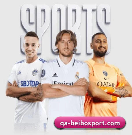 我们在做什么（BEIBOSPORTS）